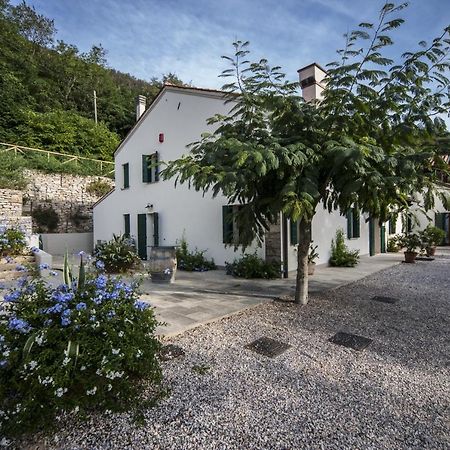 Agriturismo Le Volpi Baone Luaran gambar