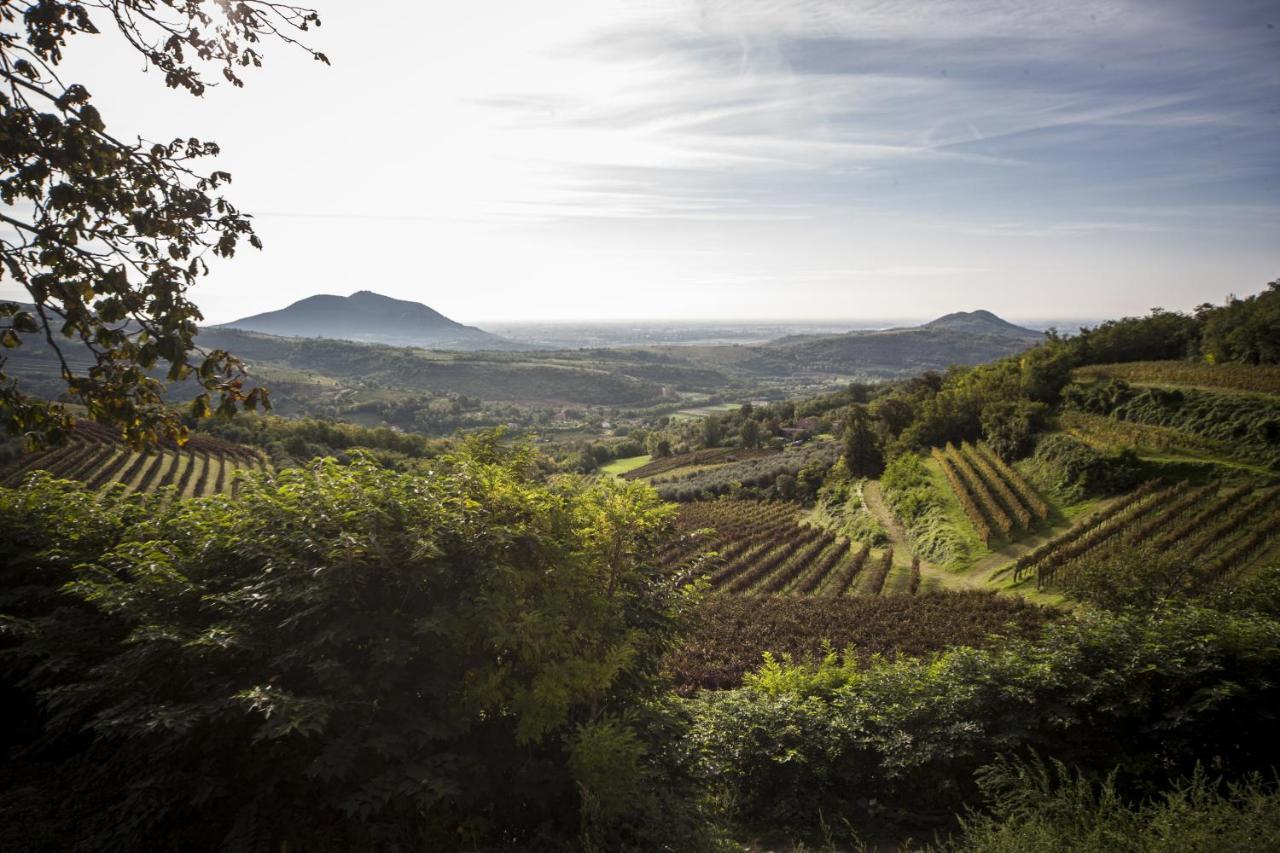 Agriturismo Le Volpi Baone Luaran gambar